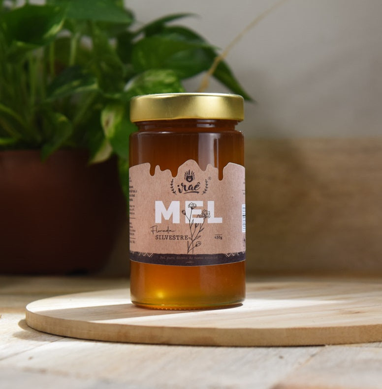 Mel VIDRO 450g – Florada Silvestre – Iraê
