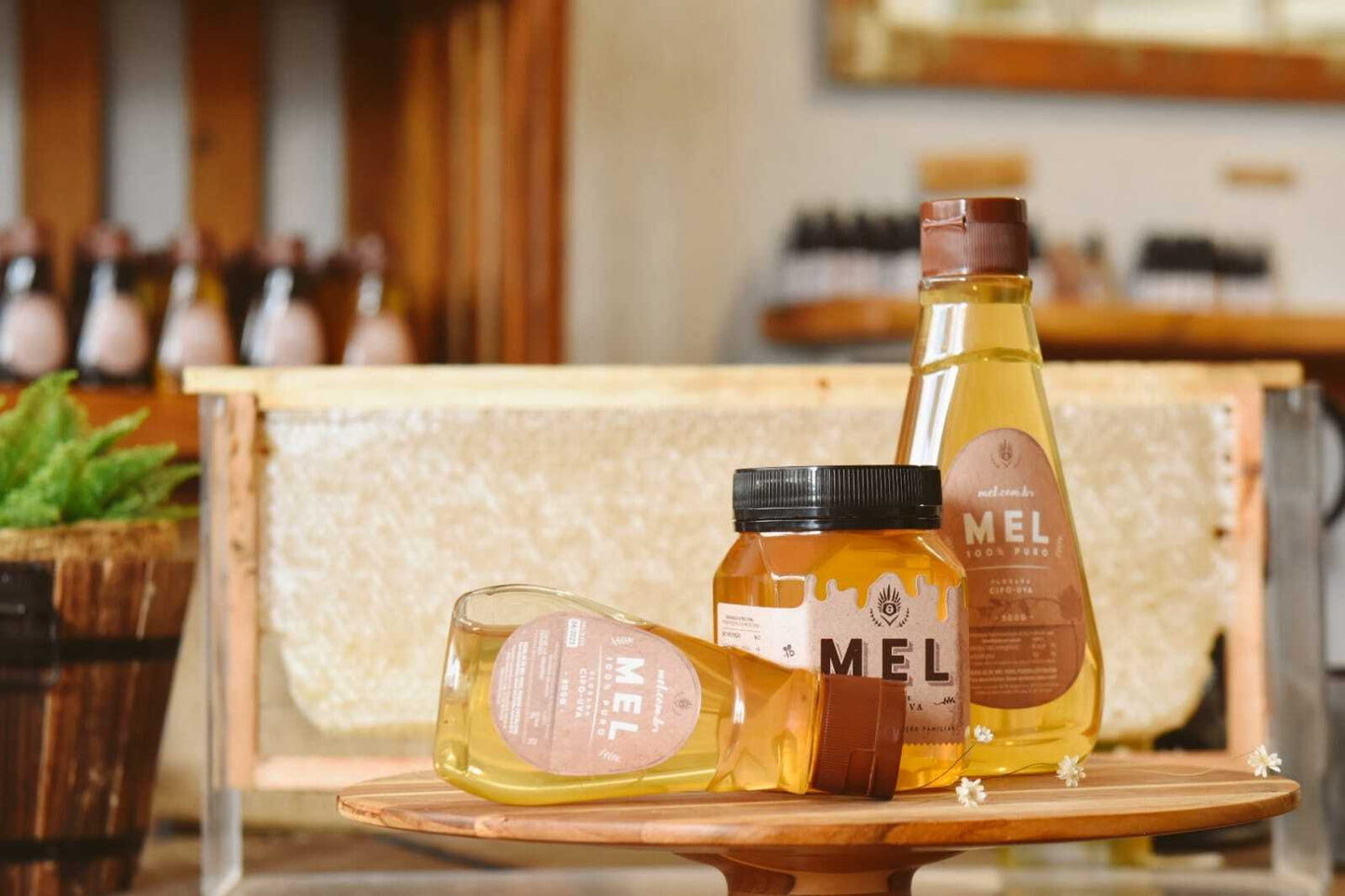 Mel de Cipó-Uva: Bisnaga de 500g (Super Claro!)