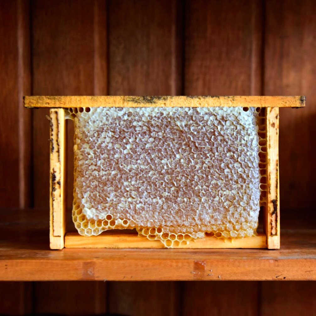 Favo de Mel – (500g) – 1/2 Quadro de Madeira