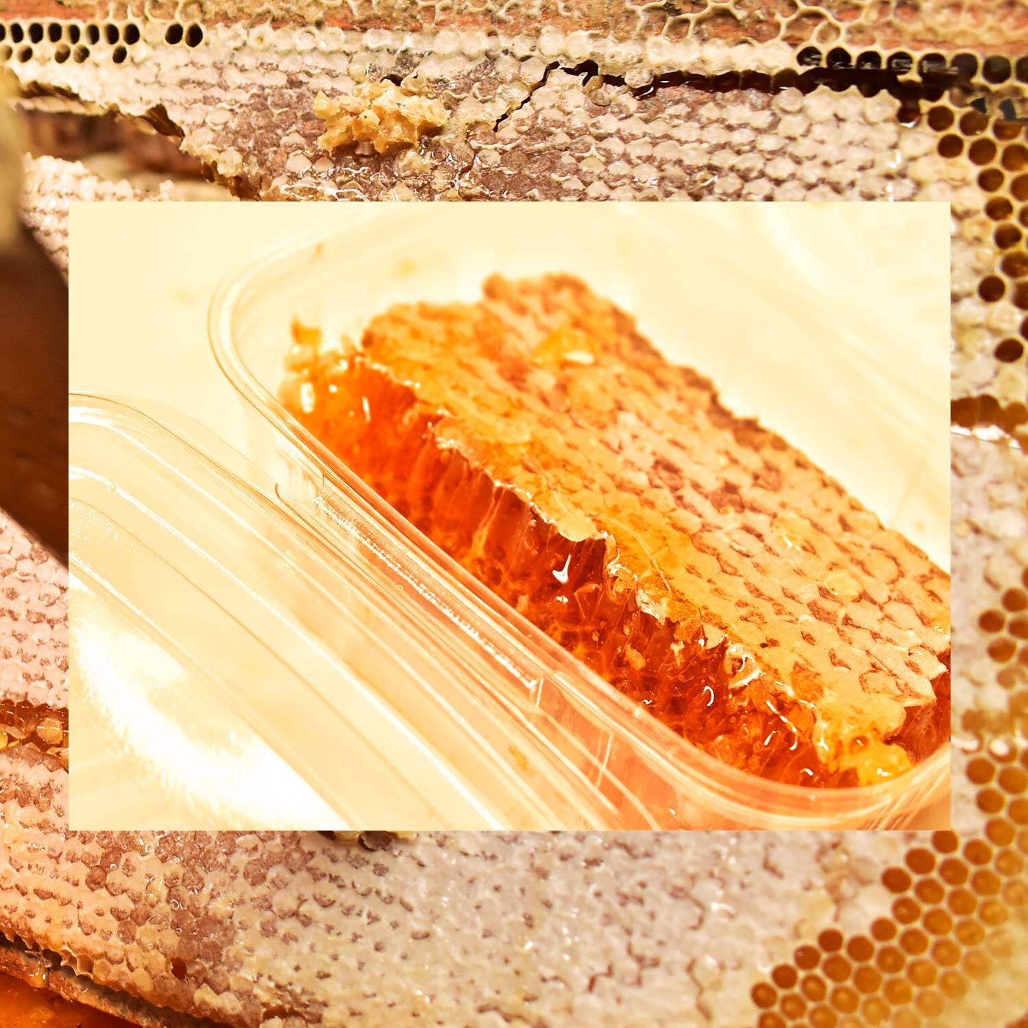 Favo de Mel In-Natura (+1kg) – Quadro de Madeira (Melgueira)