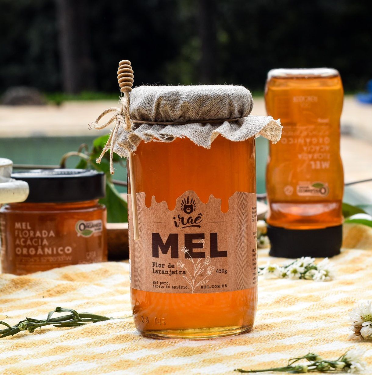 Mel VIDRO 450g – Florada Laranjeira – Iraê