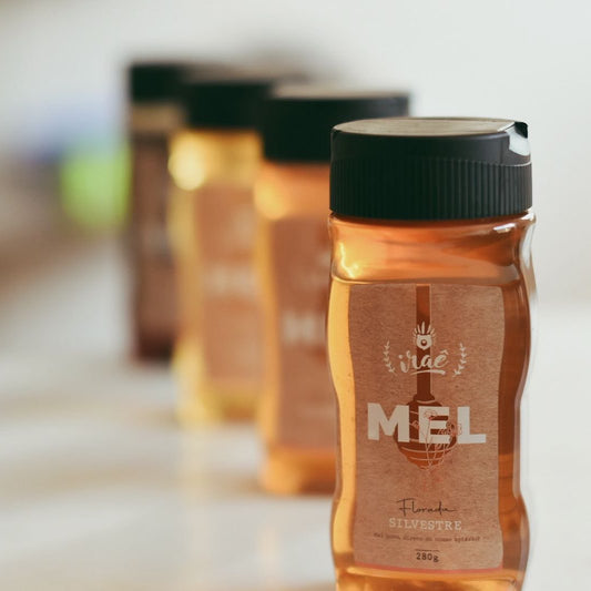 Mel Laranjeira IRAÊ: Bisnaga de 280g – Direto do Apiário!