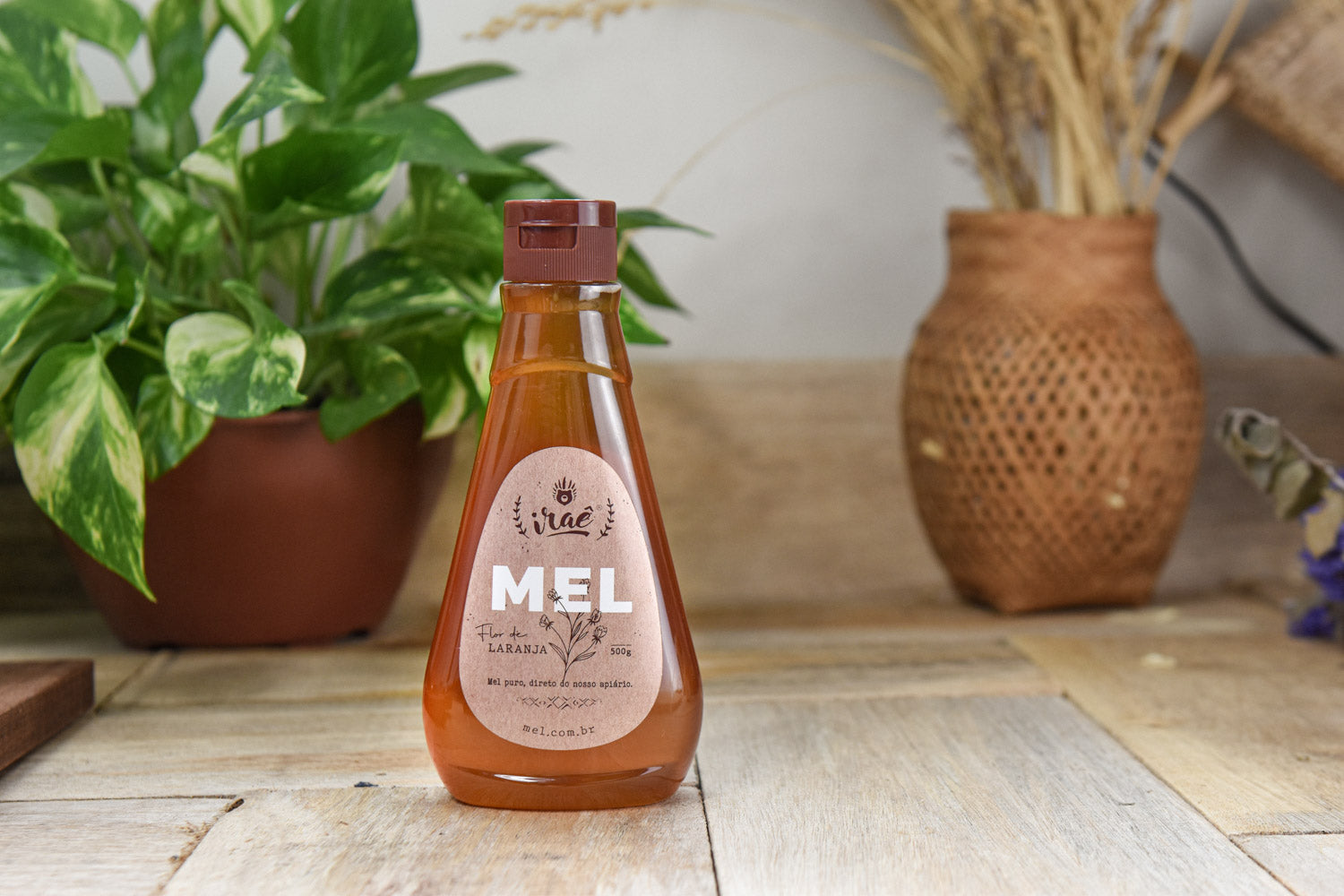 Mel Silvestre Iraê: Bisnaga de 500g. Tradicional do nosso apiário!