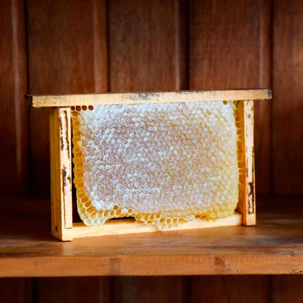Favo de Mel – (500g) – 1/2 Quadro de Madeira