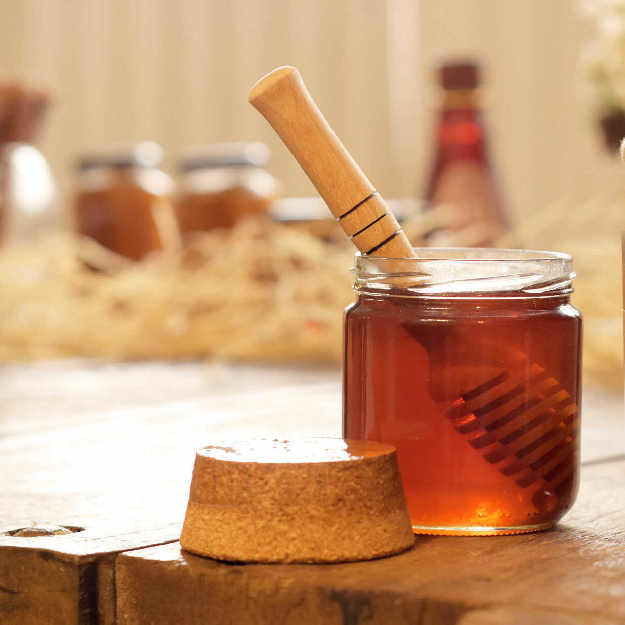 Mel Gourmet 450g – Florada Silvestre