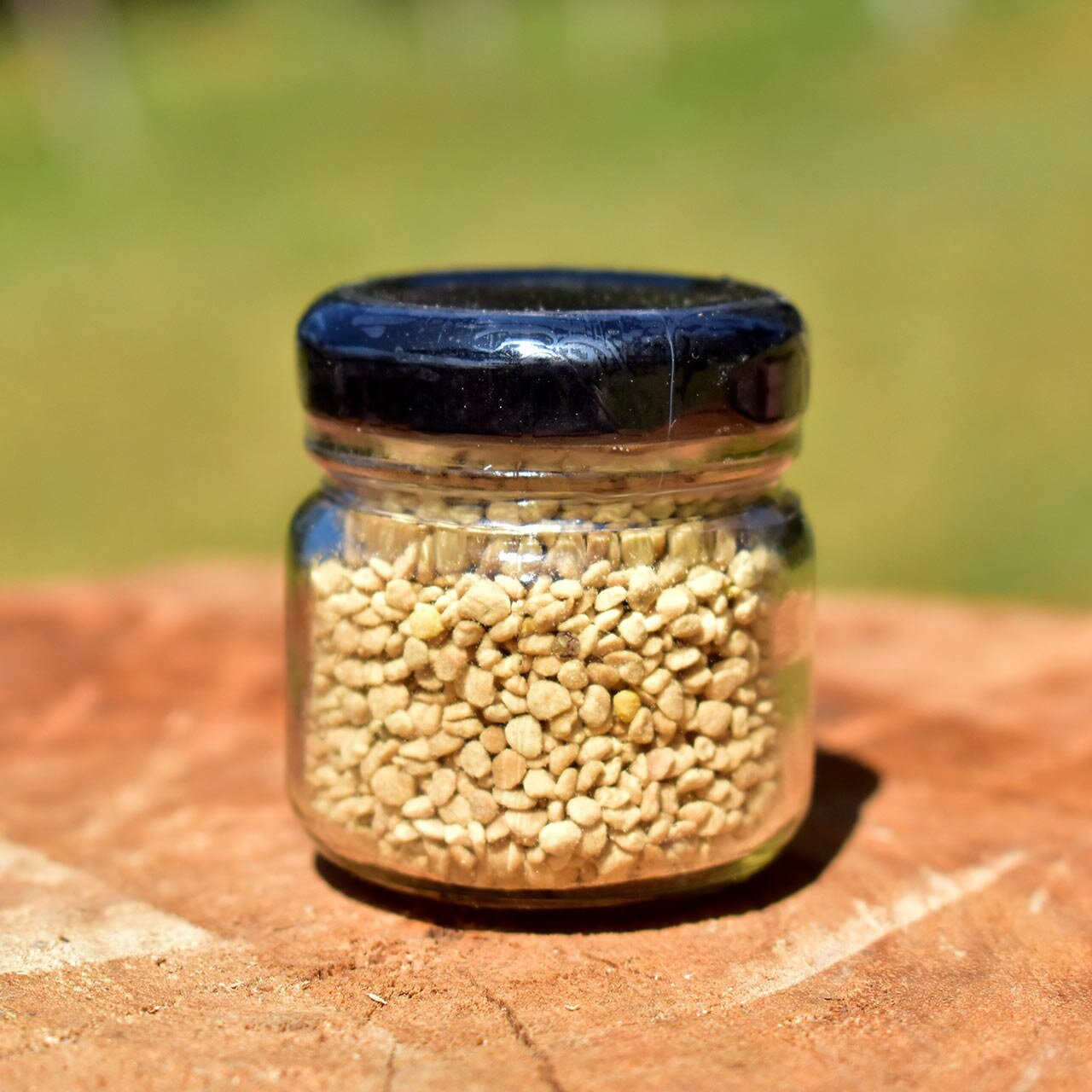 Pólen Apícola Desidratado – 40g